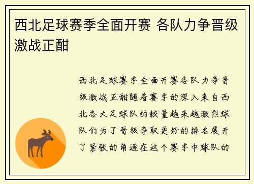 西北足球赛季全面开赛 各队力争晋级激战正酣